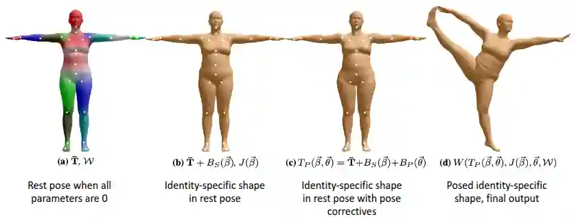 Parametric Human Body Models-20250518162343115